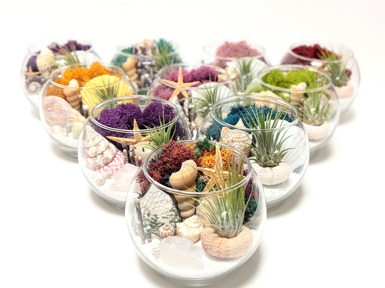 Terrariums