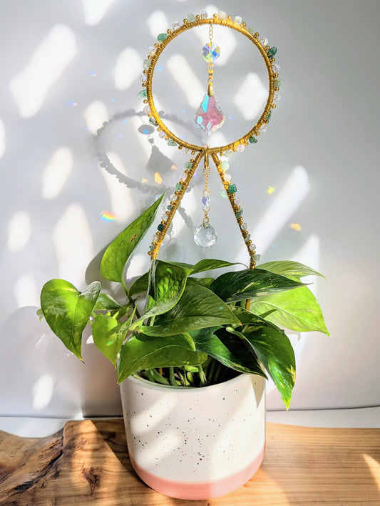 Trellis Hoop